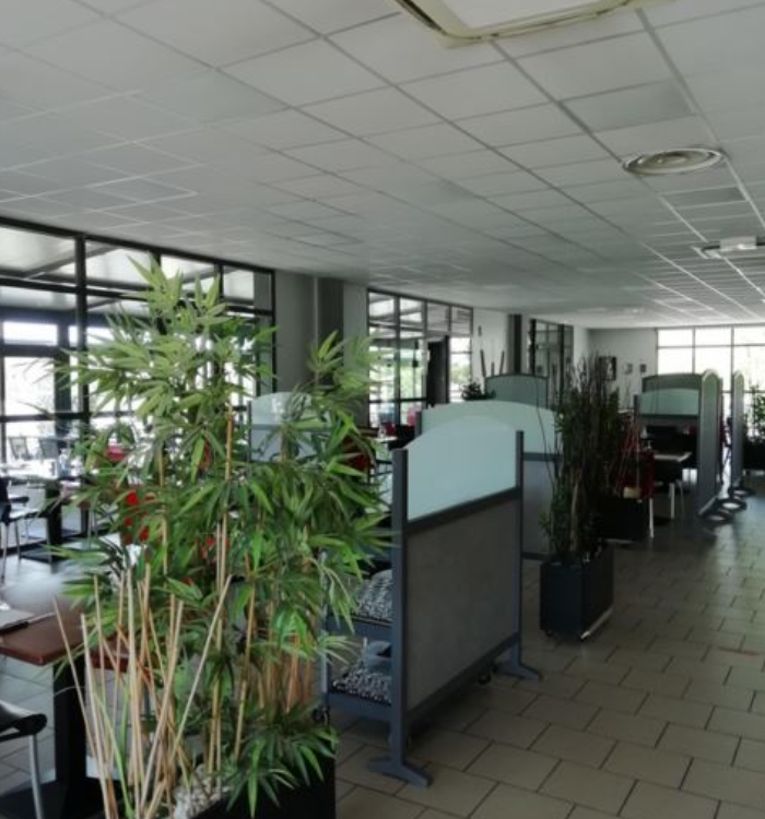 Salle de restaurant spacieuse et végétalisée de l’Hôtel L’Escale